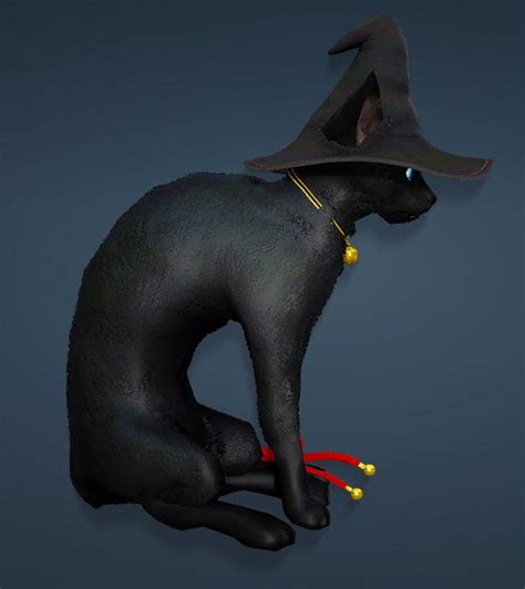 The Bdo Witch Hat Charlotte: A Perfect Gift for Witchy Friends